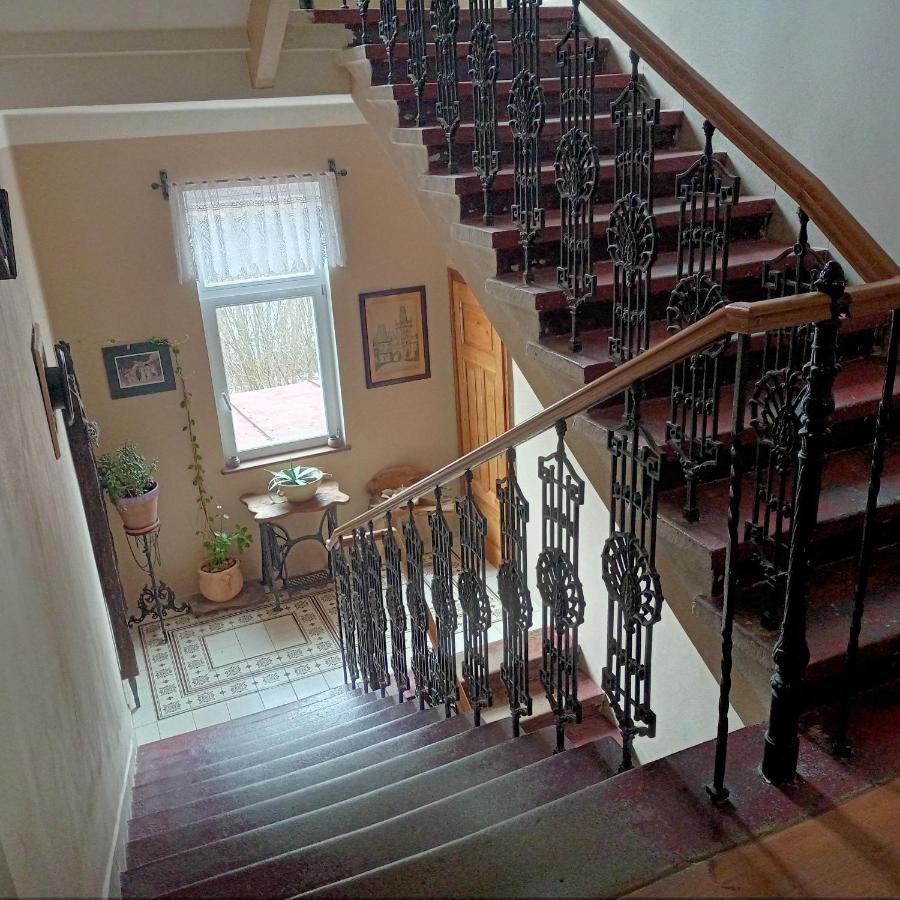 Villa Rosenberg Mariánské Lázně المظهر الخارجي الصورة